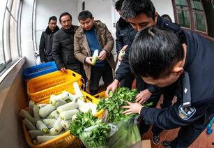 酉阳吃瓜事件视频,一场网络热议的真相揭秘