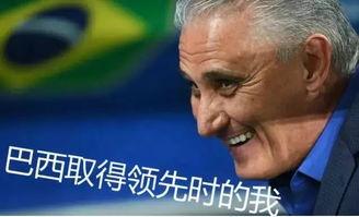 吃瓜球迷的视频,揭秘赛场幕后趣闻