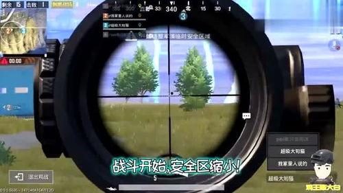 猫吃瓜现场视频,萌态百出，笑料连连