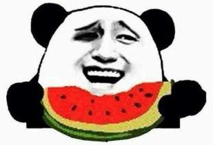 吃瓜群众一枚视频,一场全民参与的娱乐盛宴