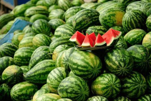 正能量网红吃瓜视频下载,正能量网红带你领略美食魅力