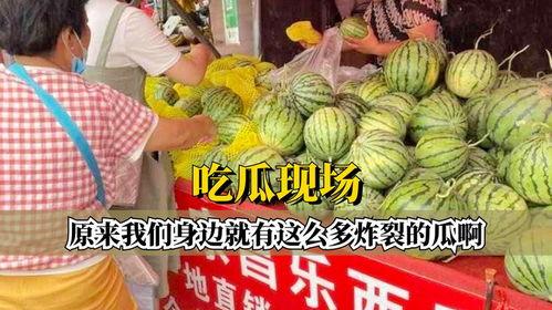 炸裂吃瓜长视频,揭秘娱乐圈幕后风云