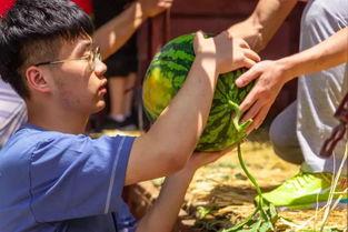 带你吃瓜捕鱼视频下载,揭秘“带你吃瓜捕鱼”视频下载攻略