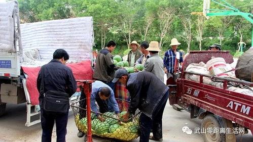 桑植县吃瓜群众事件视频,网络热议背后的真相揭秘