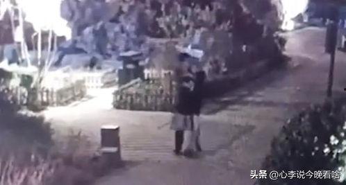 保定满城吃瓜事件视频,一场引发热议的网络视频风波