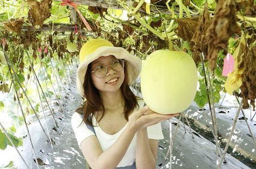 佛山欣子吃瓜视频,揭秘娱乐圈幕后故事