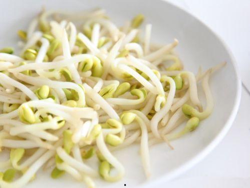 吃豆芽和小瓜的视频,视频带你领略清新口感