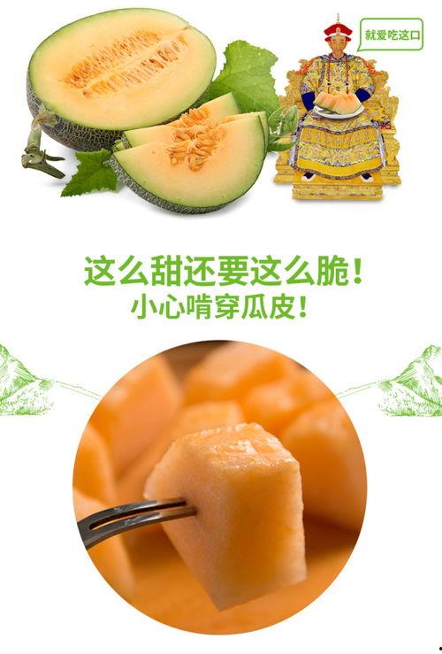 农民吃蜜瓜视频,农民丰收喜悦瞬间