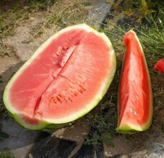 急需吃瓜视频,紧急！揭秘热门吃瓜视频背后的惊人真相！