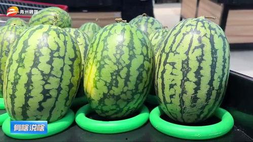 山东潍坊吃瓜事件视频,一场网络热议的真相追踪