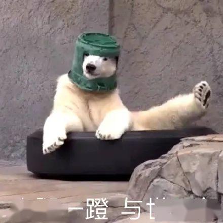 沙雕吃瓜吐槽视频大全下载,笑料横生等你来下载！