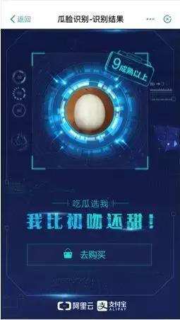 支付宝吃瓜的视频,揭秘网络热点的幕后故事